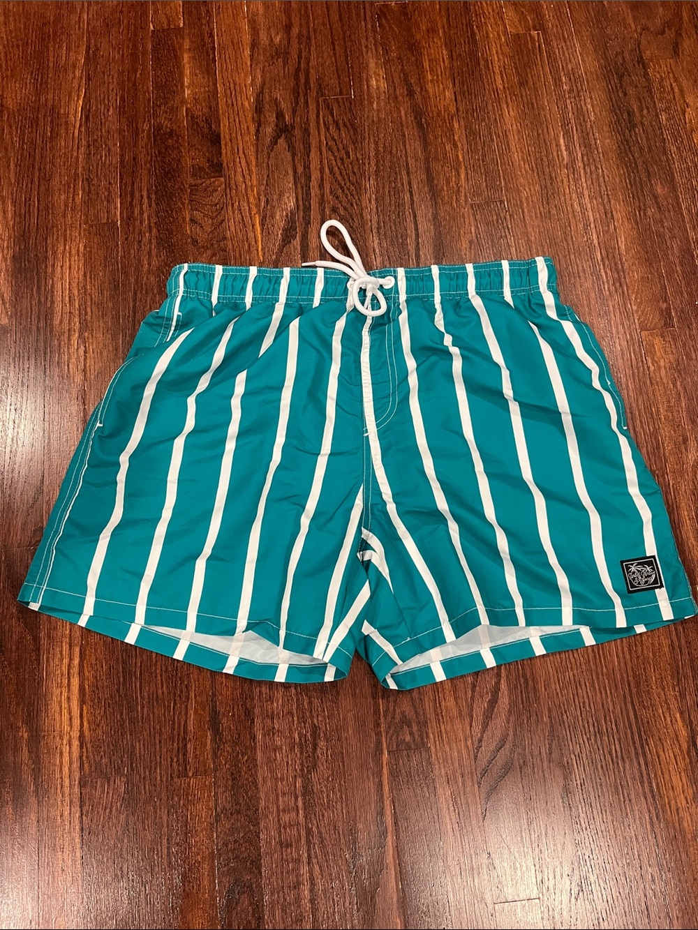 SHEIN Teal and White Vertical Stripe Swim Trunks